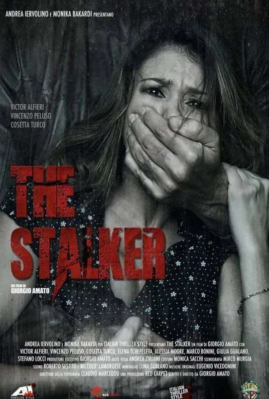 The Stalker poster