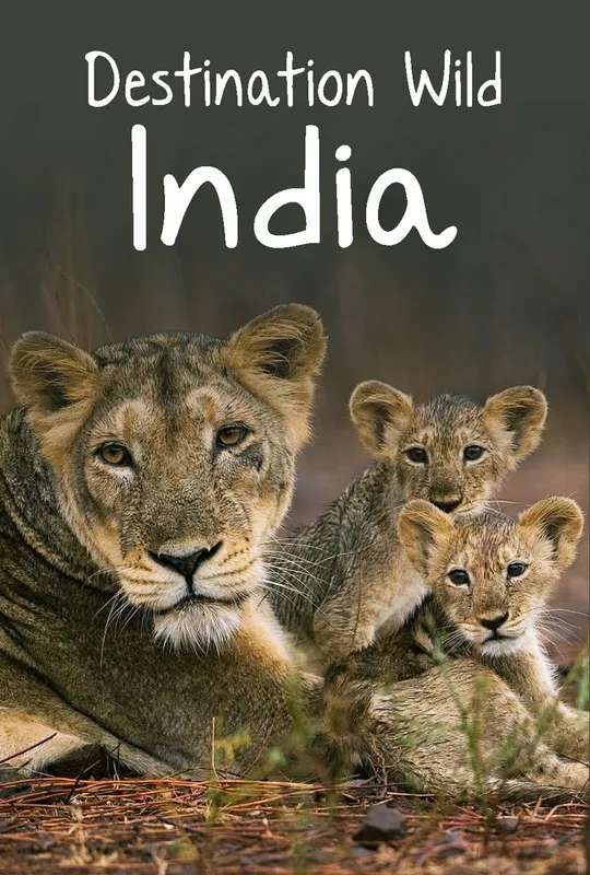 Destination Wild: India poster
