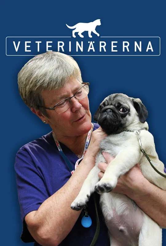 Veterinärerna poster