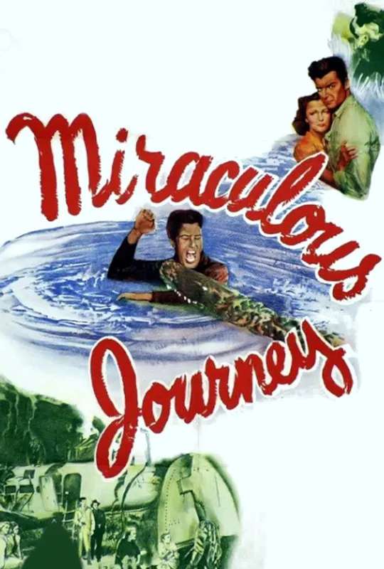 Miraculous Journey poster