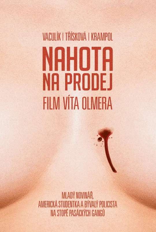 Nudity For Sale poster