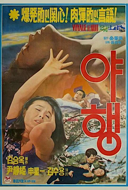 Night Journey poster
