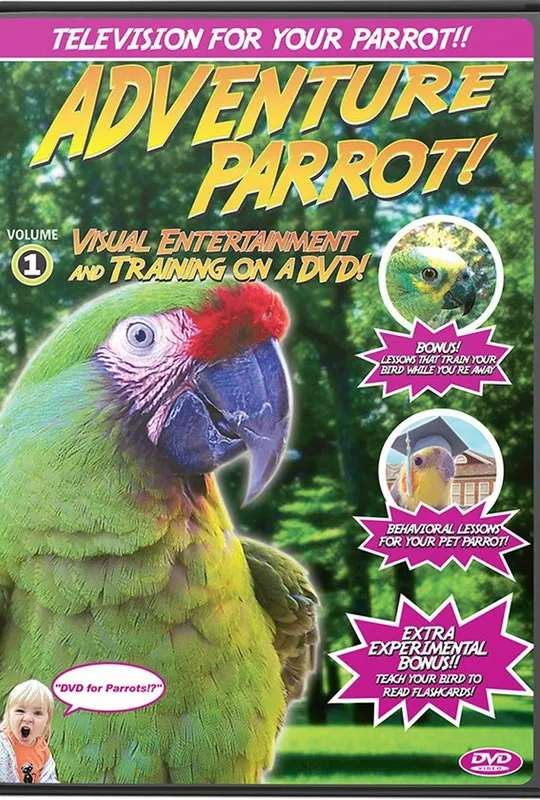 Adventure Parrot! poster