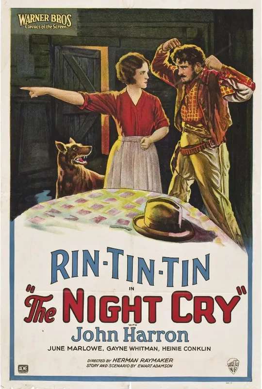 The Night Cry poster