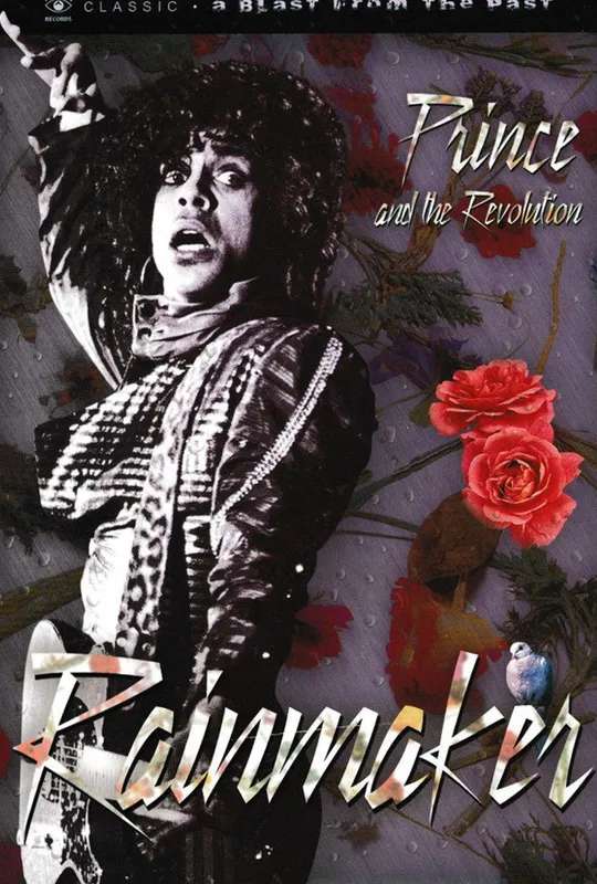Prince and the Revolution: The Makings Of Rain poster