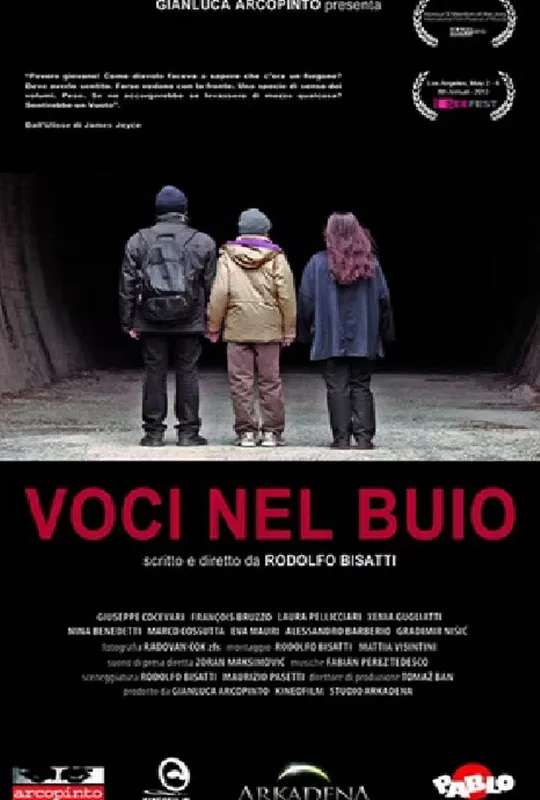 Voices in the Dark poster