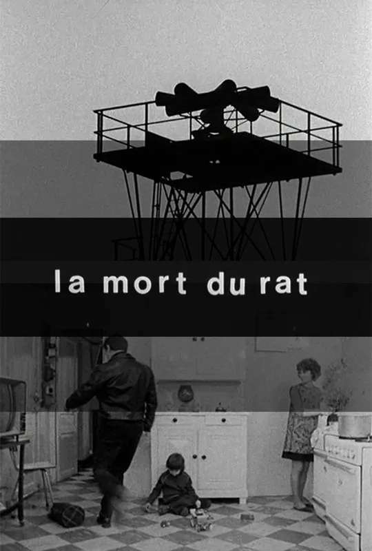 Death of the Rat poster
