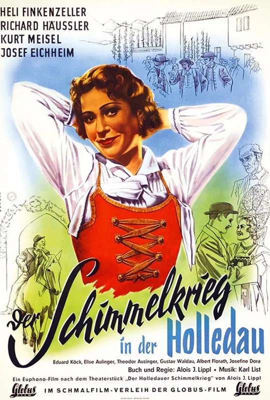 Der Schimmelkrieg in der Holledau poster