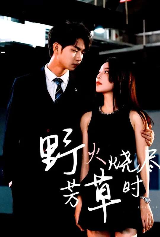 野火烧尽芳草时 poster