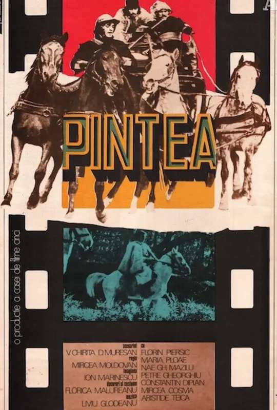 Pintea poster