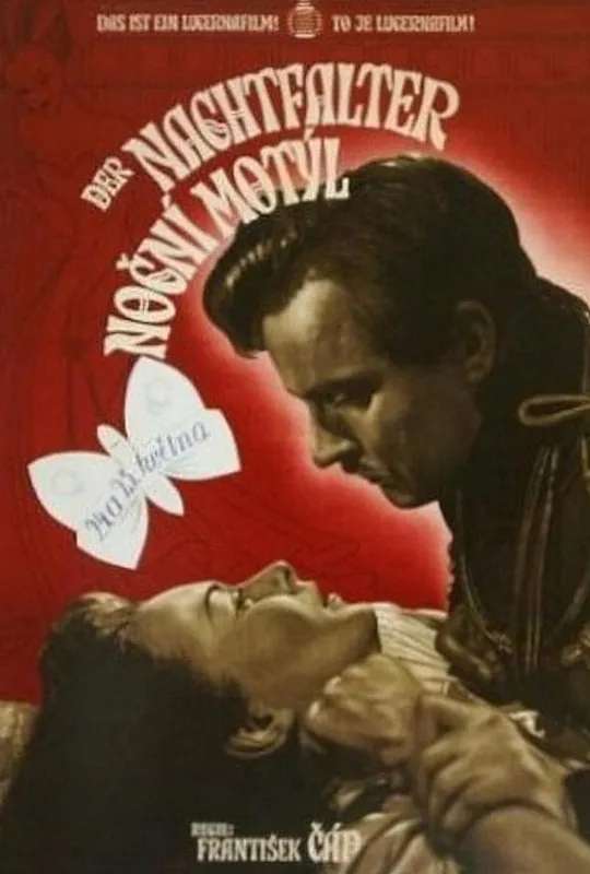 Nocturnal Butterfly poster