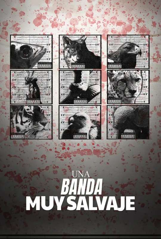 The Wild Wild Bunch poster