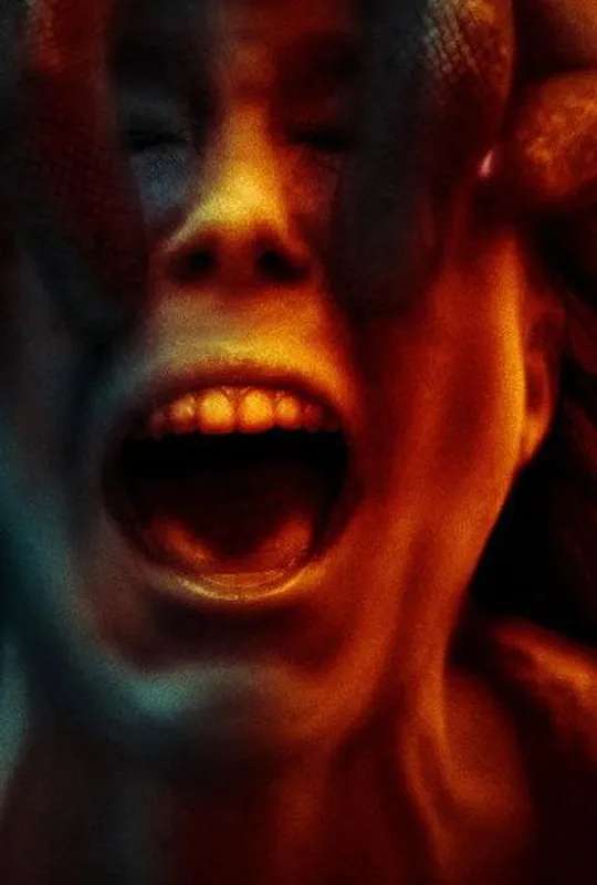 The Gracefield Incident poster