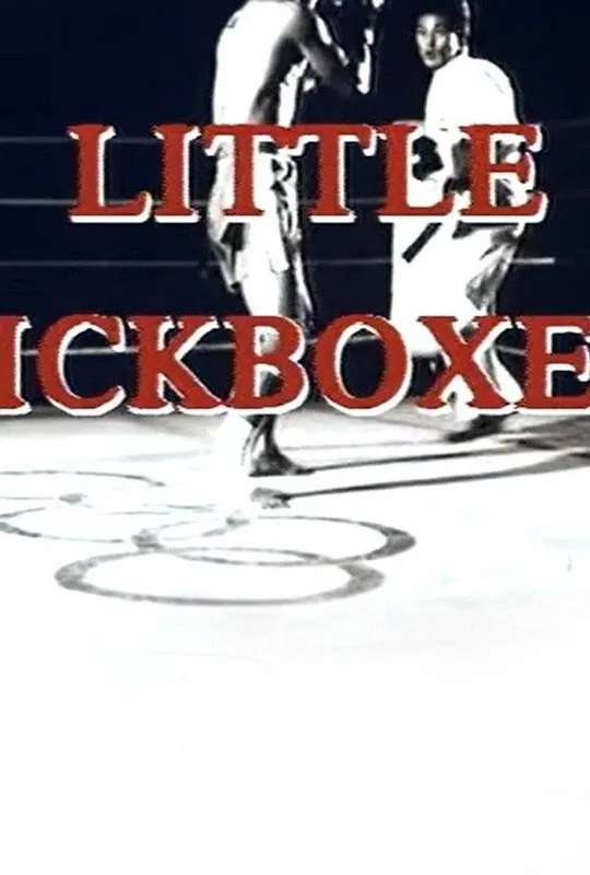 Thunder Ninja Kids 5: Little Kickboxer poster