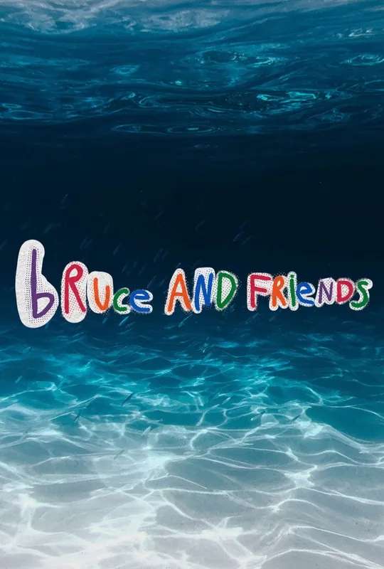 Bruce And Friends poster