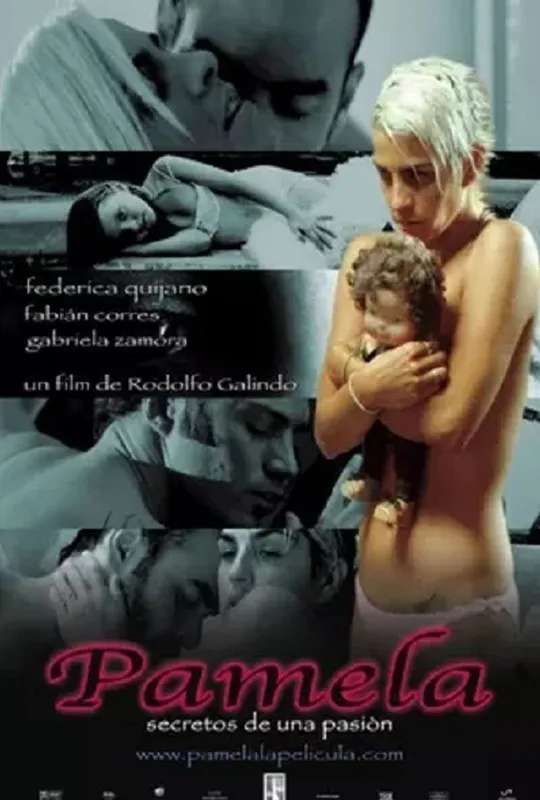 Pamela: secretos de una pasión poster