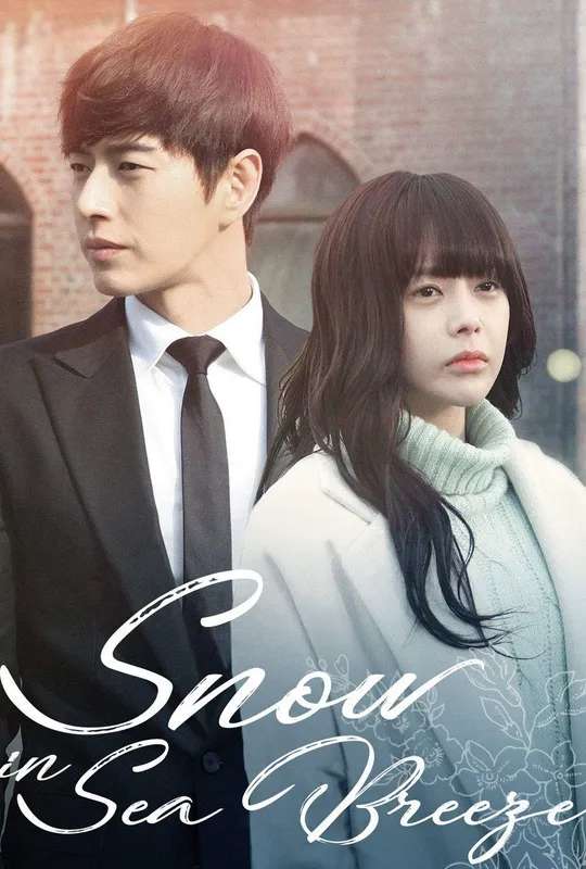 Snow In Sea Breeze poster