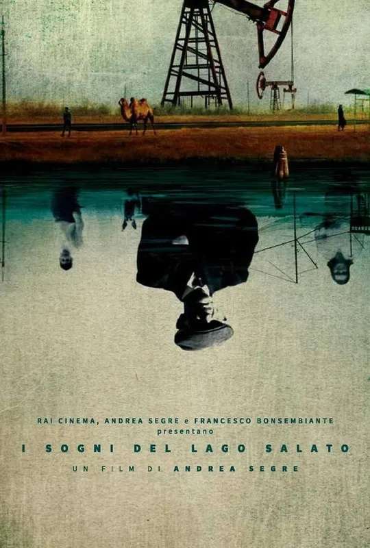 Dreams of the Salt Lake poster