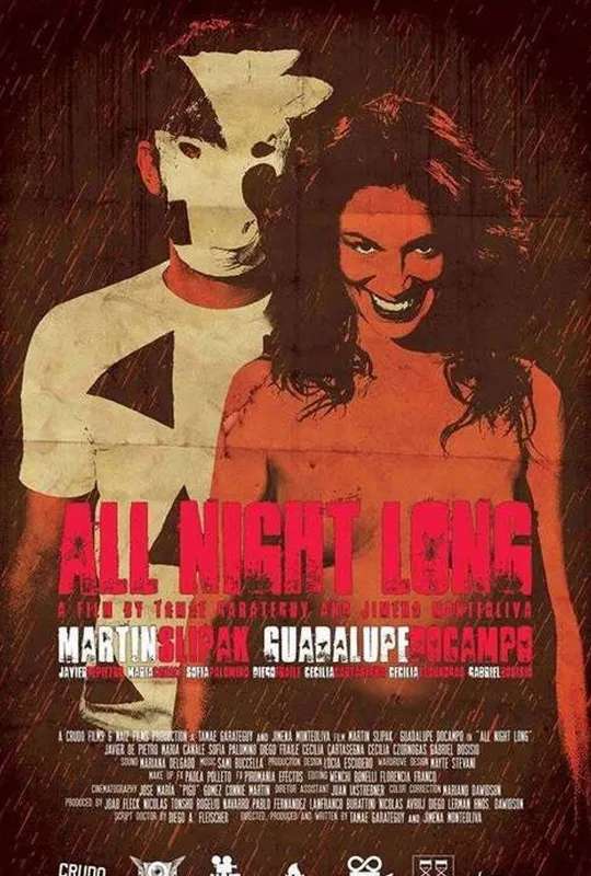 All night long poster