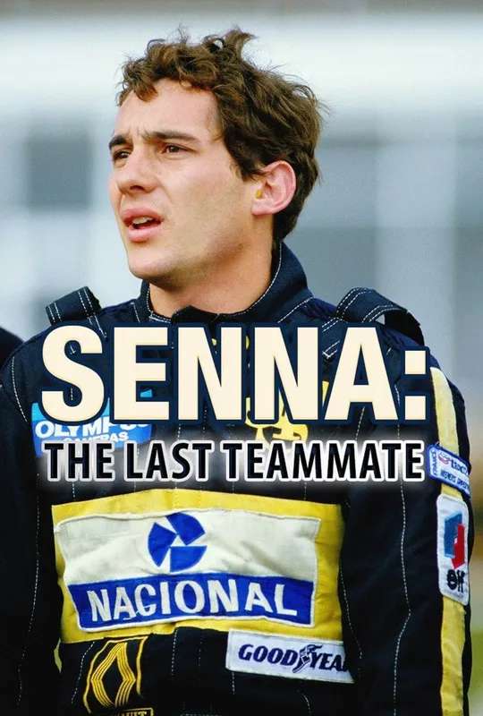 The Last Teammate poster