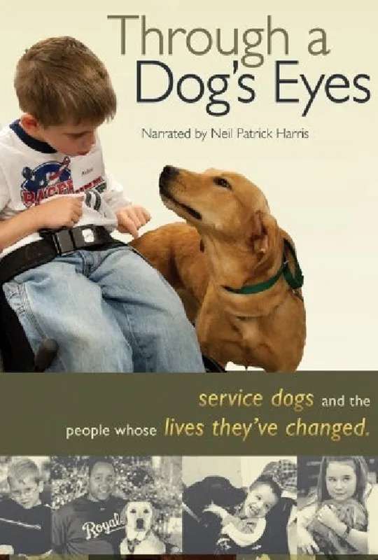 Through a Dog's Eyes poster