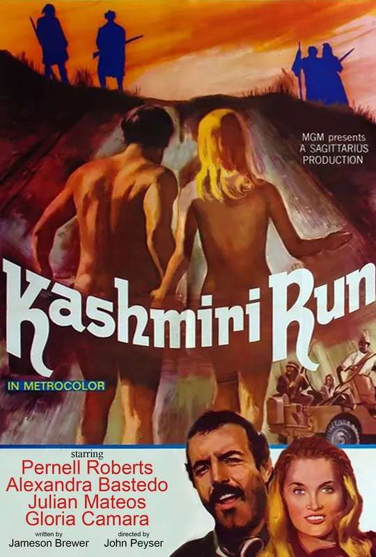 The Kashmiri Run poster
