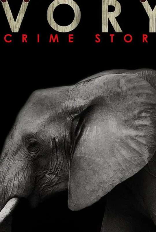 Ivory. A Crime Story poster