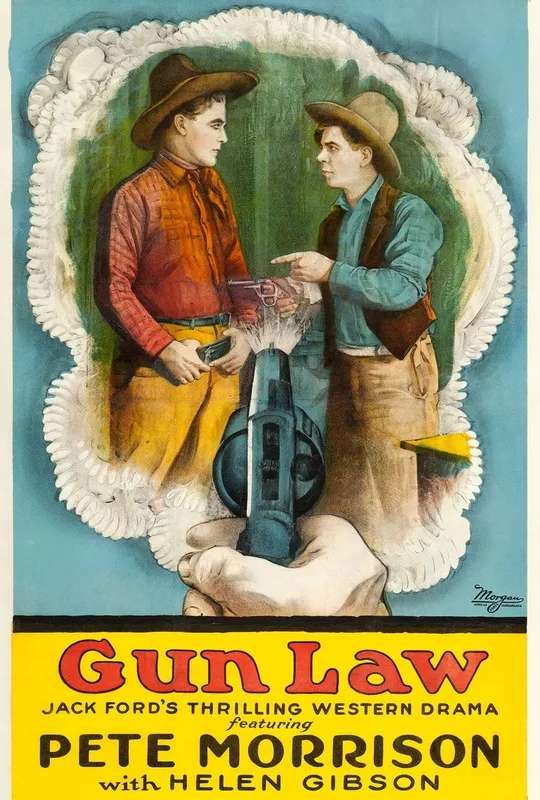 Gun Law poster