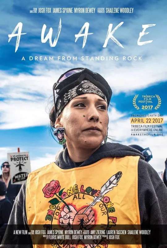 Awake, a Dream from Standing Rock poster