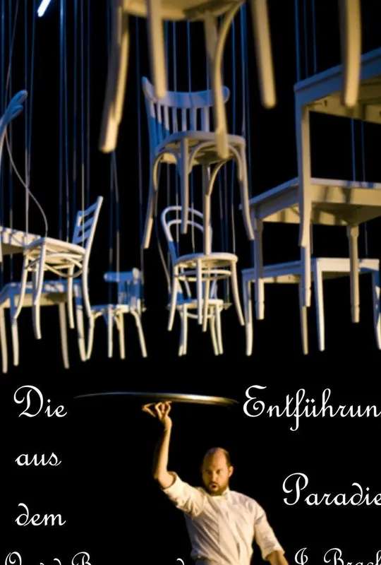 Die Entführung aus dem Paradies poster