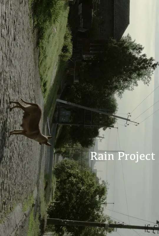 Rain Project poster