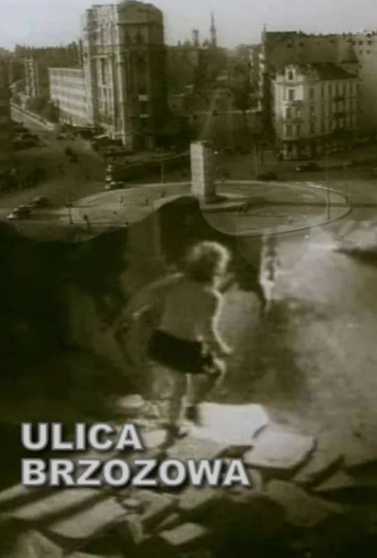 Brzozowa Street poster