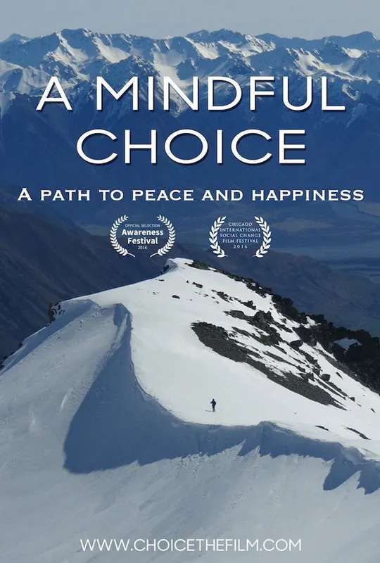 A Mindful Choice poster
