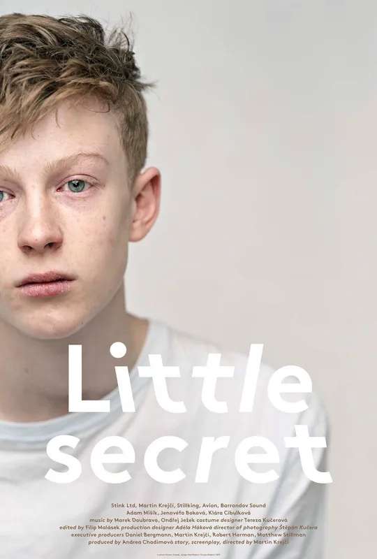 Little Secret poster