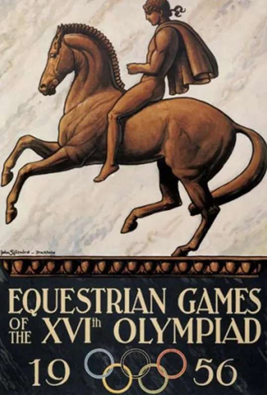 The Horse in Focus poster
