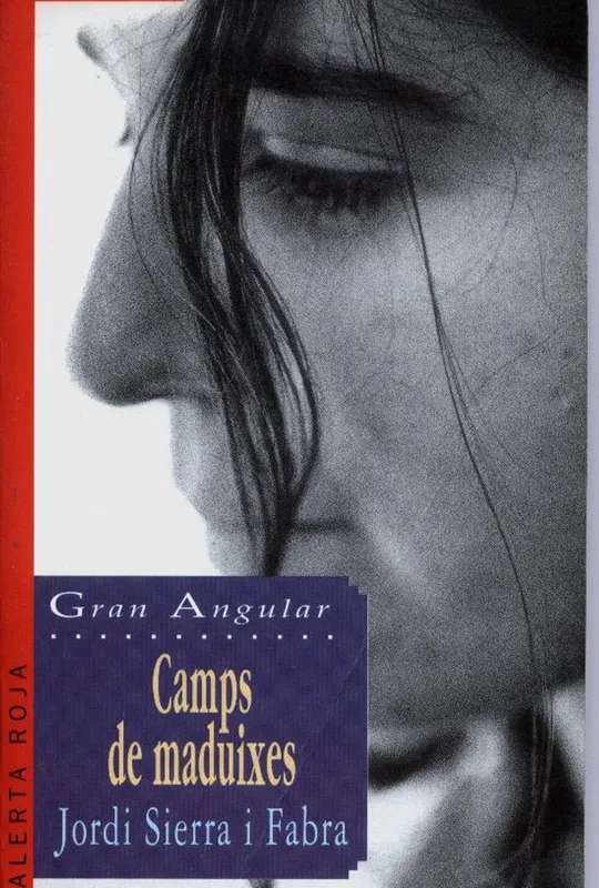 Camps de maduixes poster
