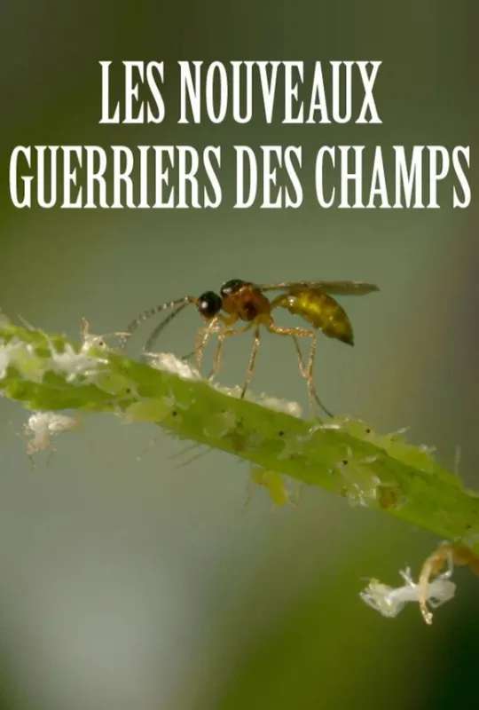 Les nouveaux guerriers des champs poster