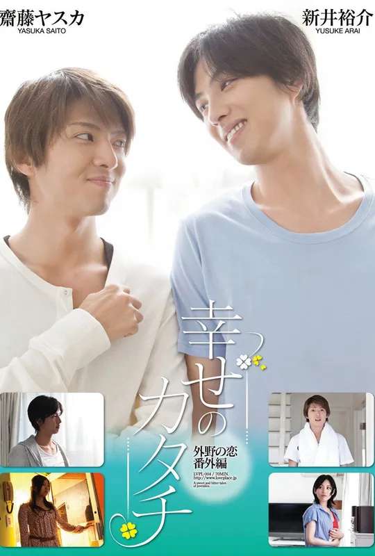 Shape of Happiness poster