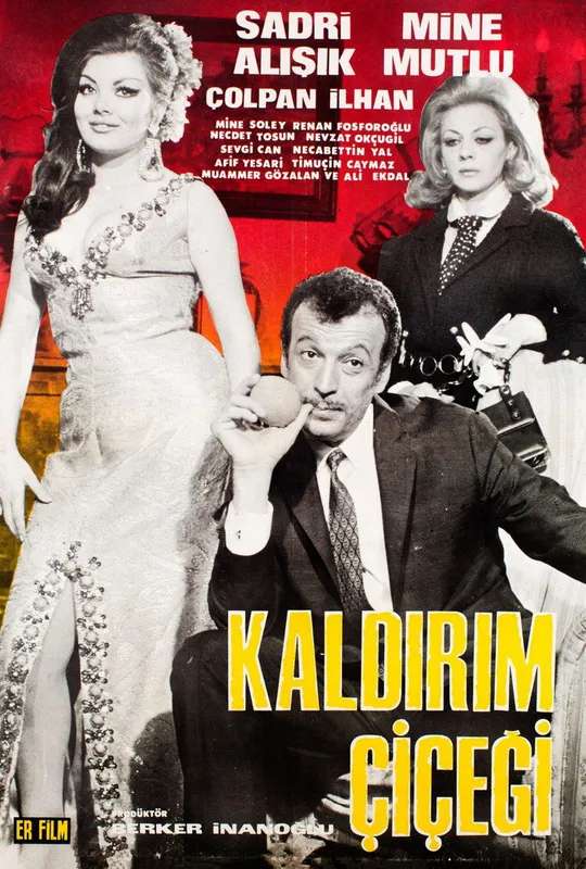 Kaldırım Çiçeği poster