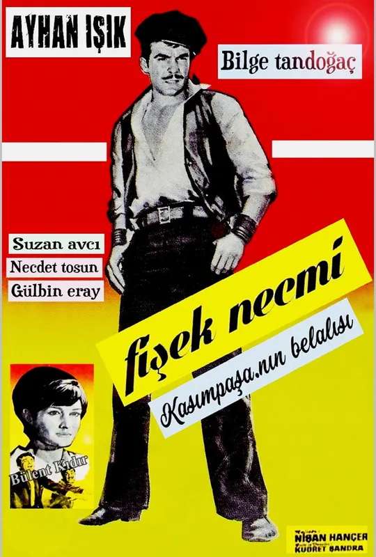 Fişek Necmi poster