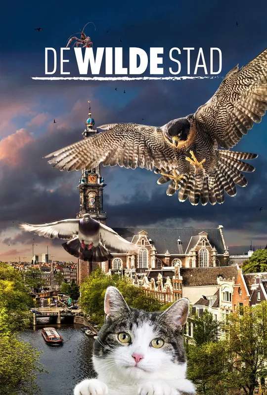 Wild Amsterdam poster