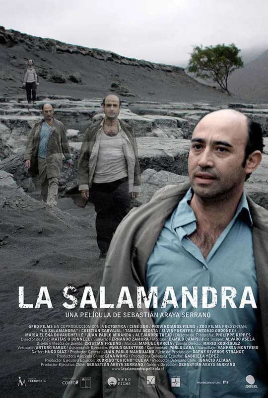 La salamandra poster