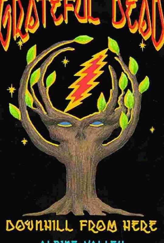 Grateful Dead: Downhill from Here poster