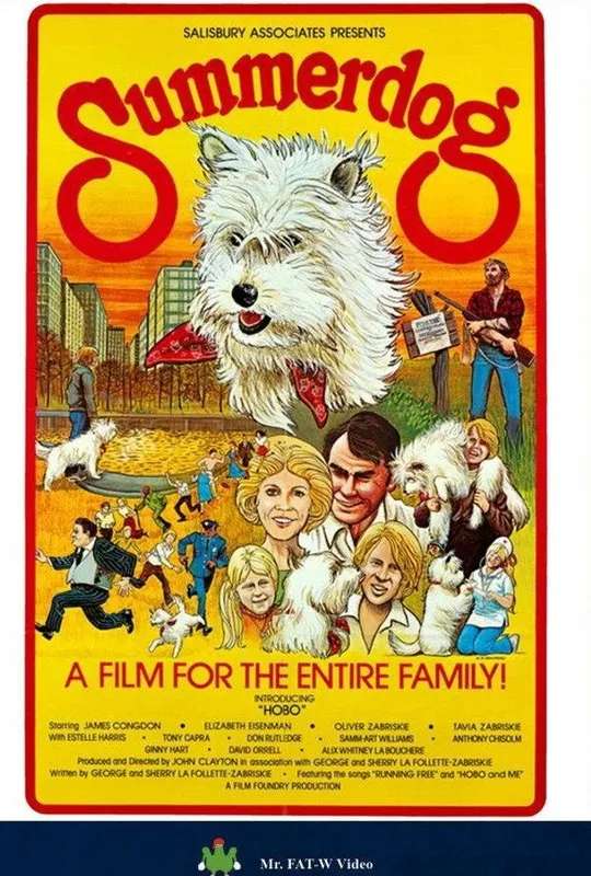 Summerdog poster
