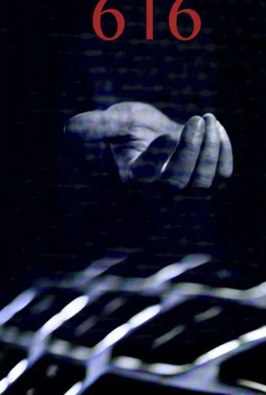 Anonymous 616 poster