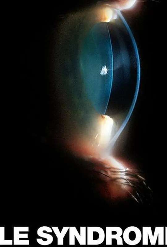 Le Syndrome du Titanic poster