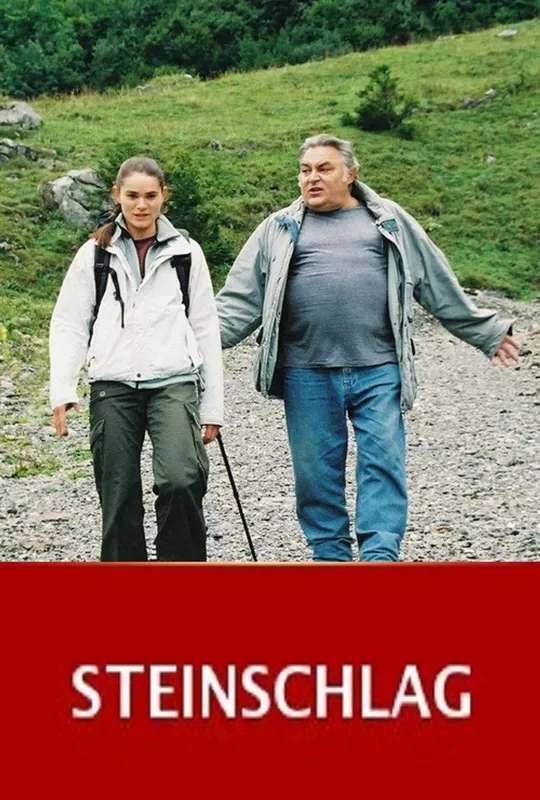 Steinschlag poster