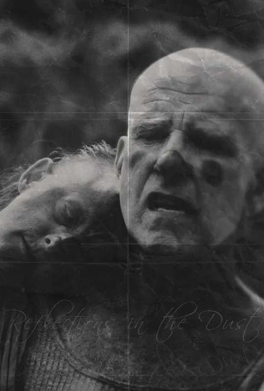 Reflections in the Dust poster