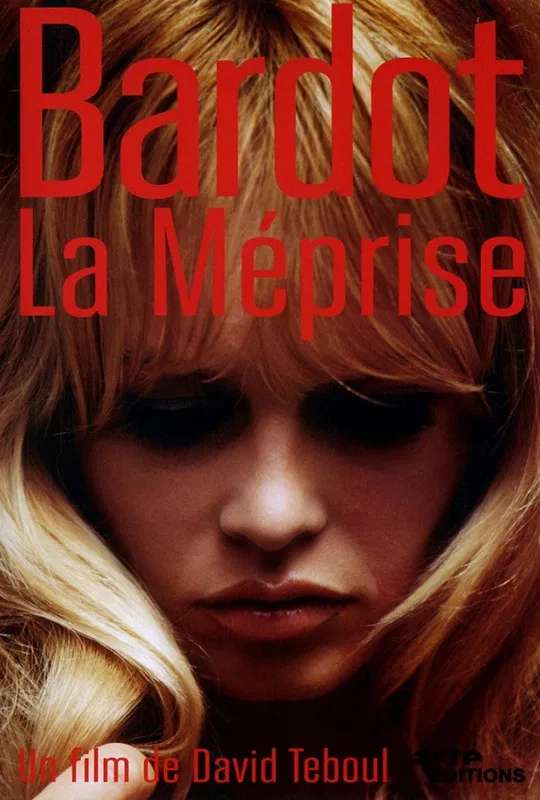 Bardot, The Misunderstanding poster