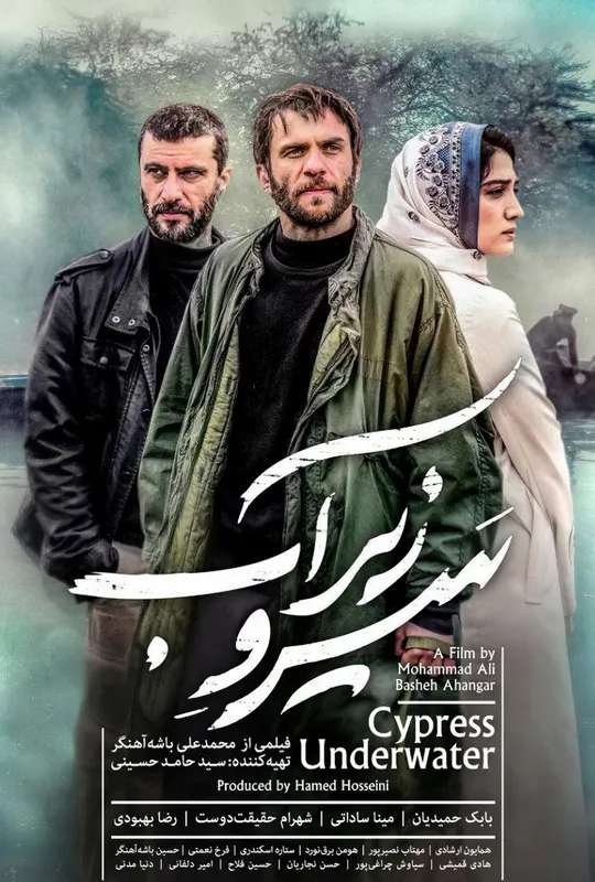 Cypress Under Water poster
